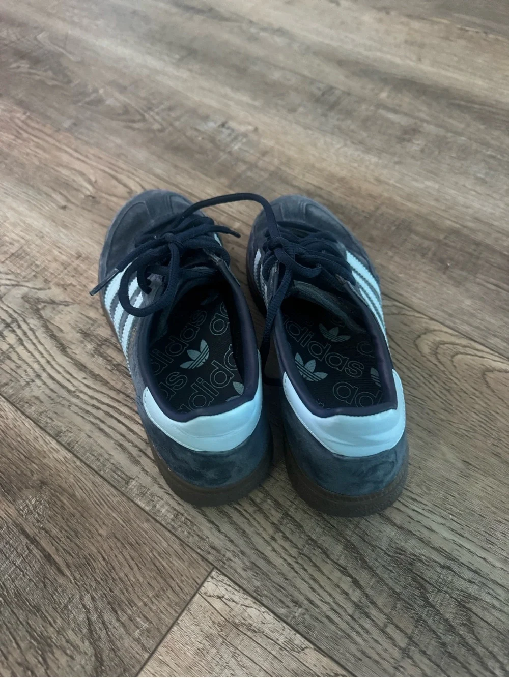 adidas suede spezial